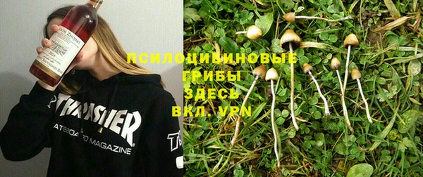 МДПВ Аркадак